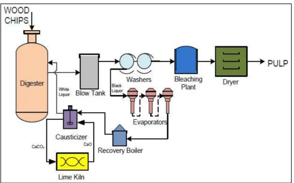 Figure 2 : Schéma simplifié du procédé de mise en pâte Kraft [17] 