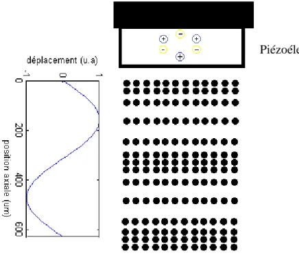 Figure 1-1 : Schéma de particules soumises à une onde de pression  L’exemple de la figure 1- 1 illustre une onde plane, solution de l’équation (1), du type : 