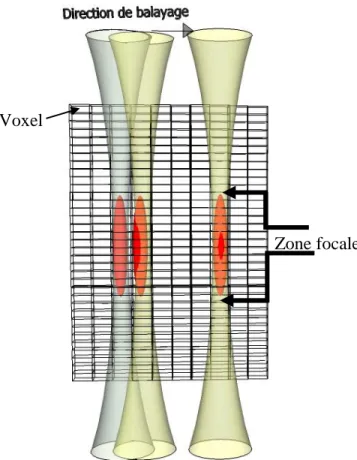 Figure 1-6: Construction de l’image par concaténation des champs acoustiques Zone focale 