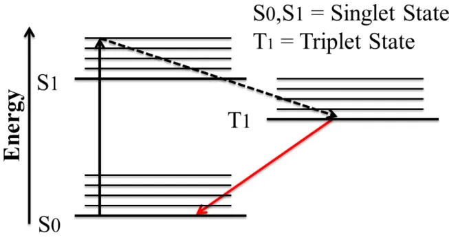Figure 3-2: Simplified Jablonski energy diagram of phosphorescence progress 