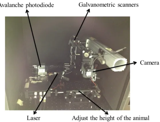 Figure 3-4: Overview of the confocal phosphorescence microscopy system. 