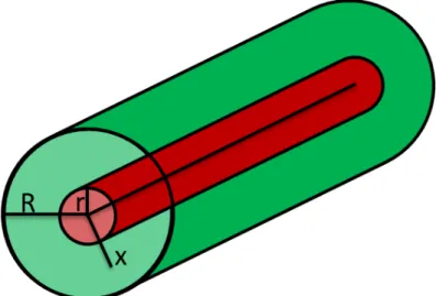 Figure  3-6:  Sketch  of  the  Krogh  cylinder  model  where  the  blood  vessel  (radius  r)  provides  oxygen with a tissue cylinder (radius R) by diffusion