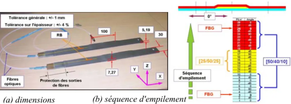 Figure 1. Démonstrateurs instrumentés par fibres optiques à réseaux de Bragg