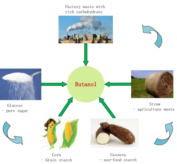 Figure 1. 2 Low cost sugar feedstocks for ABE fermentation