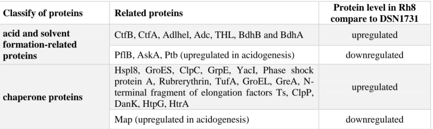 Table 2. 3 C. acetobutylicum DSM 1731 and Rh 8 strains compared for their proteins expression  level (Bao et al., 2014)