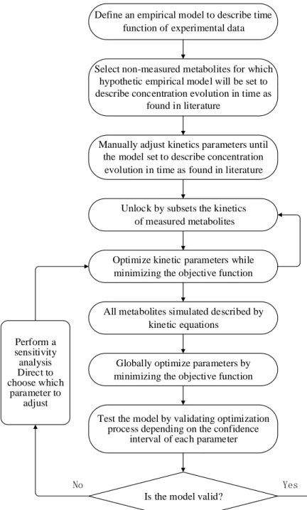 Figure 3.1 Algorithm of resolution for determining a model kinetic parameter value.