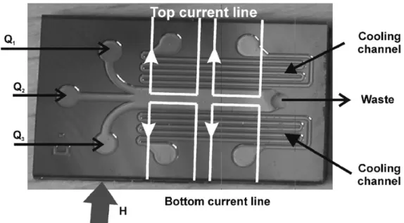 Figure 2.2 A microsystem combining permanent magnets and electromagnets. Cu current lines  are buried in the back side of the substrate at the positions indicated by the white lines