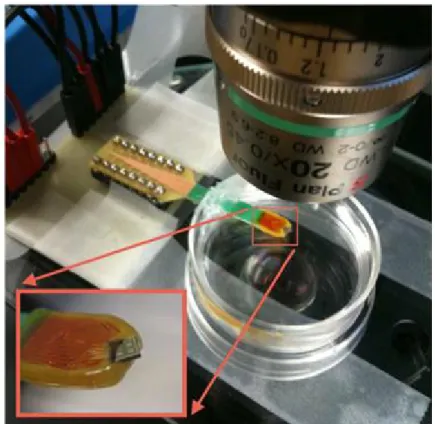 Figure 2.6 An open cavity microsystem integrating CMOS coil array for individual magnetic  bead manipulation [51]