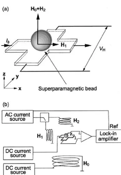 Figure 2.8 A conceptual schematic view of a Hall sensor for single magnetic particle  detection[69]