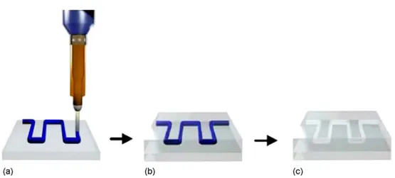 Figure 2.13 Fabrication procedure of DWFP technique:  (a) ink deposition, (b) encapsulation in  epoxy and (c) ink extraction [81]