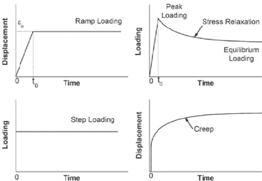 Figure 2.6: Temporal profiles of d stress relaxation
