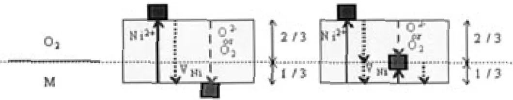 Figure 7 – Two models for the formation of duplex oxide scale by cationic diffusion coupled to  oxygen transport
