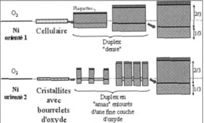 Figure 8 – Change in oxide scale microstructure at intermediate  temperatures depending on substrate orientation and microstructure  of the first-grown oxide scale (cellular or facetted)