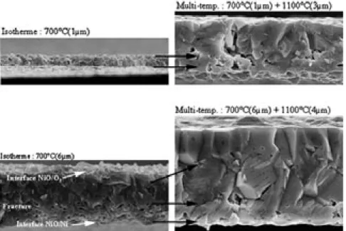 Figure 3 – Top right : sample C oxide’s microstructure with first 1 µm thickness formed at 700°C and next 3 µm formed at 1,100°C