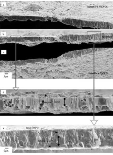 Figure 4 – Effet de l’orientation du substrat sur la microstructure de la couche d’oxyde de l’échantillon F oxydé successivement  à 1 100°C (5 µm) et 700°C (5 µm)