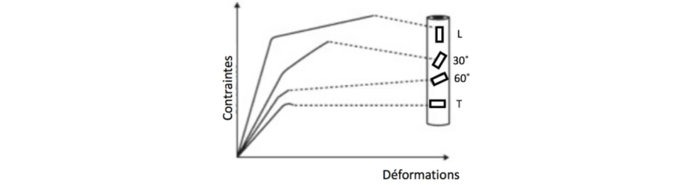 Figure 2.6 : Anisotropie de l'os cortical prélevé sur la diaphyse fémorale humaine. Tests en  traction selon plusieurs plans inclinés: Longitudinal (L), 30°,60°, Transverse (T)