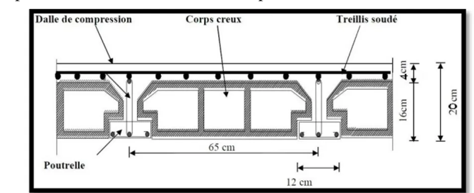 Figure II.1 : Coupe d’un plancher 