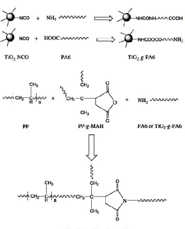 Figure  1-32: Possible chemical  reactions  between PP, PP-g-MAH, PA6  and TDI-functionalized  TiO2 nanoparticles [68] 