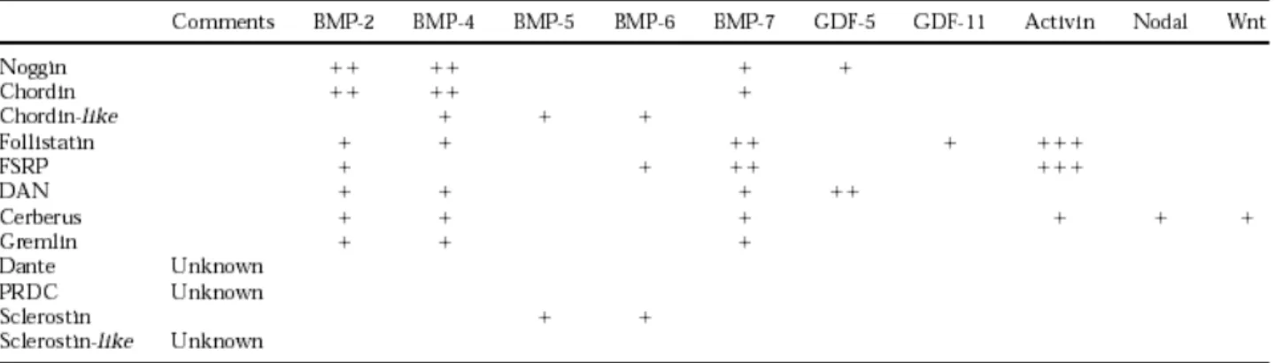 Figure 28 : Tableau montrant les antagonistes des BMPs et leur spécificité et affinité de ligand (Balemans et Van Hul, 2002).