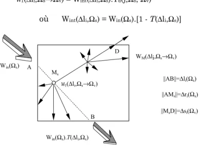Figure II.4 : Schéma des diffusions à l'intérieur d'une cellule de type Houppier ou Herbe