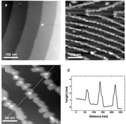 Figure 3. (a) Image of a KBr(001) surface (frame edge 418 nm) displaying terraces separated by regularly spaced monatomic steps which