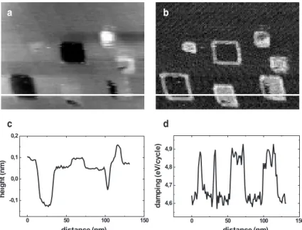 Figure 5. KBr(001) surface with electron irradiation-induced rectangular pits, covered with one-tenth of a monolayer of PTCDA molecules.
