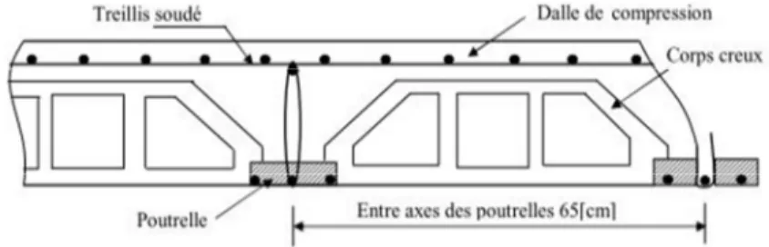 Fig. II.1 Coupe d’un plancher à corps creux II. PRE DIMENSIONNEMENT DES ELEMENTS  