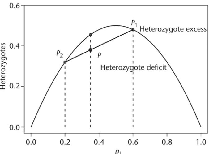 Figure 1 represents the expected proportion of heterozygotes in a randomly mating population for any value of p 1 