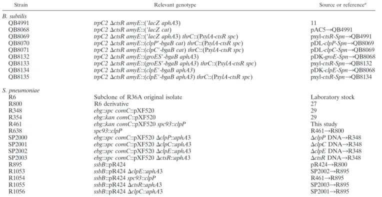 TABLE 1. B. subtilis and S. pneumoniae strains used in this study
