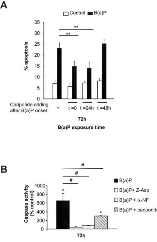 Figure 9.  Role of NHE1 activation in PAH- induced toxicity. A) F258 cells were treated with 50 nM B(a)P alone or in 