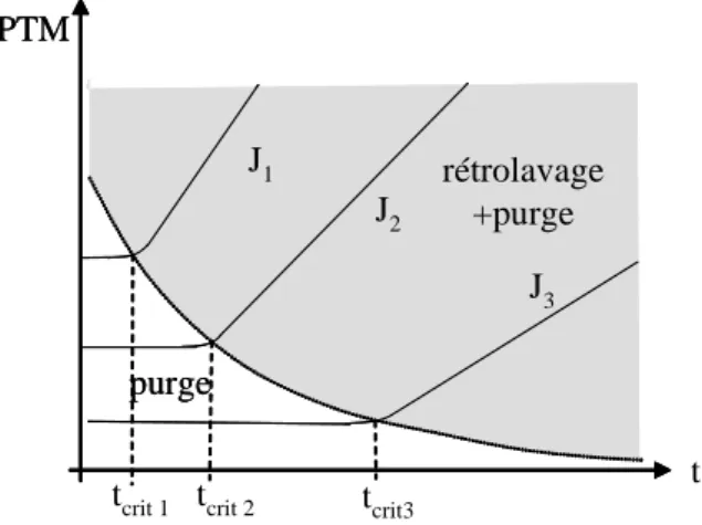 Figure 3.7  Evolution de la pression transmembranaire  en fonction du volume filtré pour 