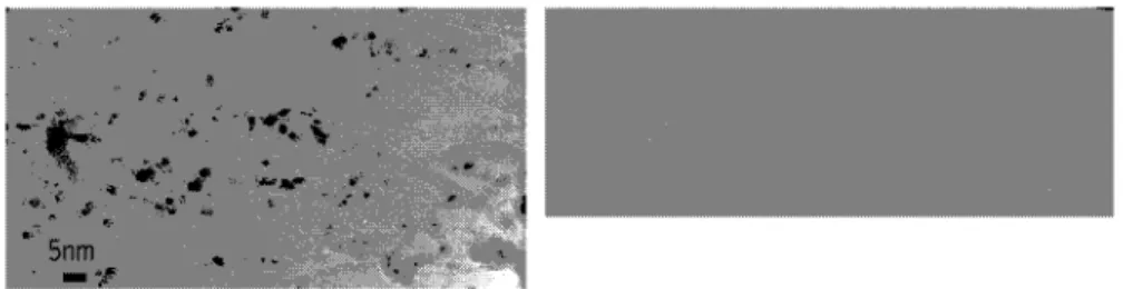 FIGURE 1. (a) TEM image showing DWNTs. Because graphene n electrons are internally satisfied