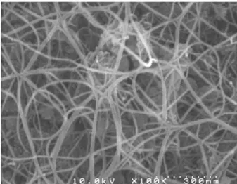Fig. 1 FEG-SEM image of raw DWNTs. The catalyst can be seen in the background.