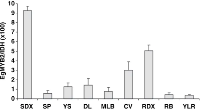 Figure 3. Genetic mapping of EgMYB2 on Eucalyptus RAPD maps. Using the single-strand conformation polymorphism (SSCP) technique, EgMYB2 was located on Eucalyptus grandis linkage group 2 (for detailed maps see Verhaegen and Plomion, 1996)