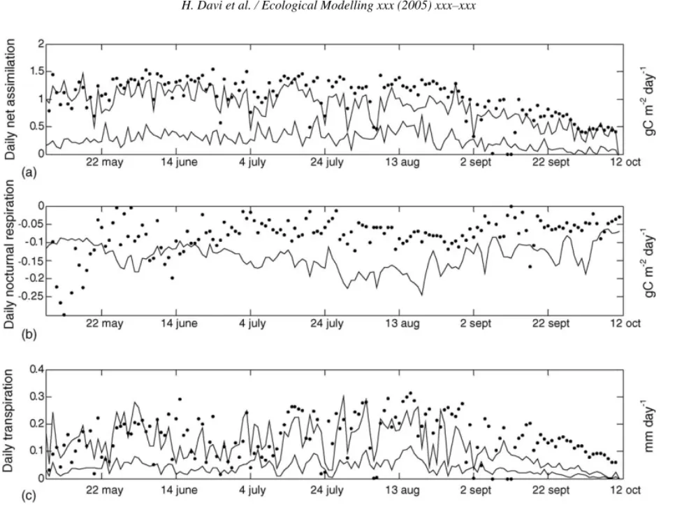Fig. 3. Comparison between daily measurements ( 䊉) and simulations (with simulated PAR in solid line and forcing with measured PAR in dotted line) in lower branch bag