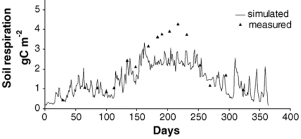Fig. 4. Simulated and measured daily soil respiration (het- (het-erotrophic + root autotrophic) in Hesse during 1997.