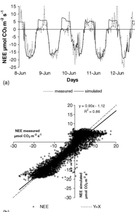 Fig. 5. Measured and simulated half hourly NEE ( ␮mol CO 2