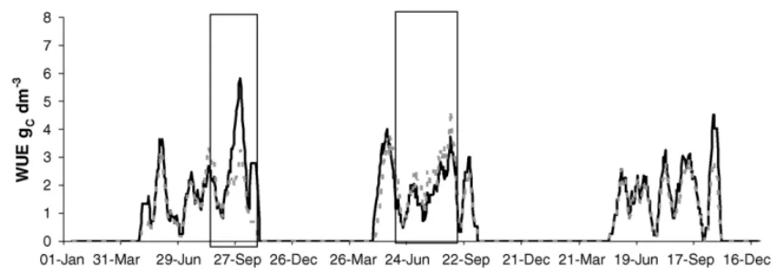 Fig. 9. Temporal dynamic of daily water use efficiency (GPP/TR) derived from eddy covariance and sapflow measurements (grey dashed line) and simulated by CASTANEA (in solid black line)