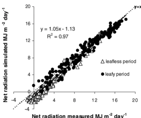 Fig. 1. Simulated vs. measured daily net radiation (MJ m −2 ) during 1997. Results are separated between leafy period ( 䊉) and leafless period ( 	).