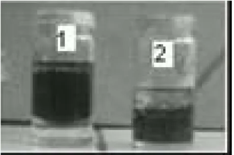Figure 3. Sample 1 (on the left) is composed of pristine CNT dispersed in water under sonication,  during 1hour, and placed in a bottle containing toluene