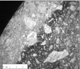 Fig. 3 - Videomicroscope image of mortar 1degraded depth. 