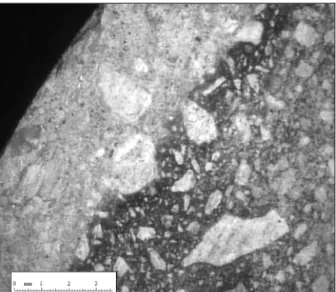 Fig. 3 - Videomicroscope image of mortar 1degraded depth. 