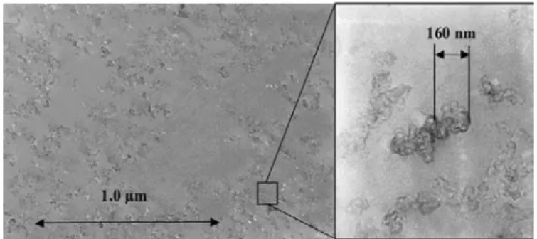 Fig. 1. CTEM image of the HC composite material.