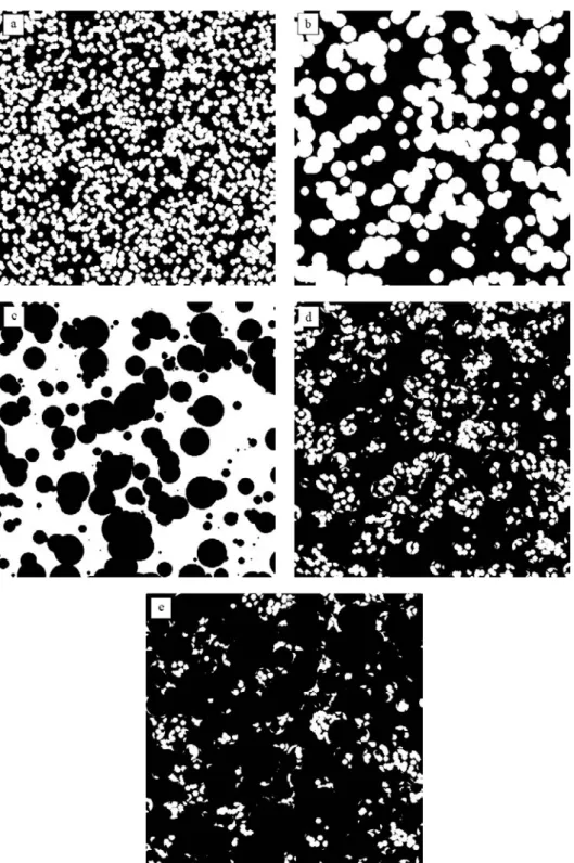 Fig. 2. Multi-scale modelling of the nanocomposites resin/carbon-black. (a) Nanoparticles (A 1 )