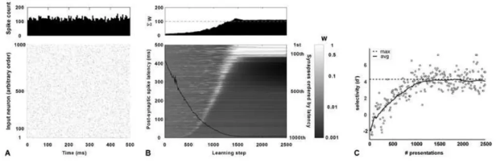 Figure 10: STDP finds and focuses on the earliest input to be more selective (A) Typical input pattern