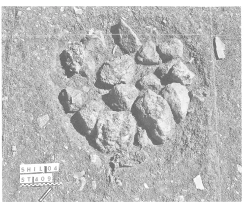 Fig.  12. — Structure  de  combustion 409.  Unité stratigraphique 50/Sud.  Néolithique pré-céramique