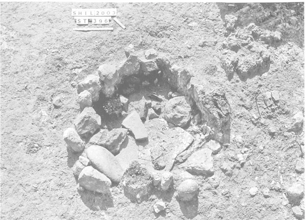 Fig. 2. — Structure 396. Aménagement de combustion comportant les restes d'un grand plat en calcaire  qui en tapissait le  fond