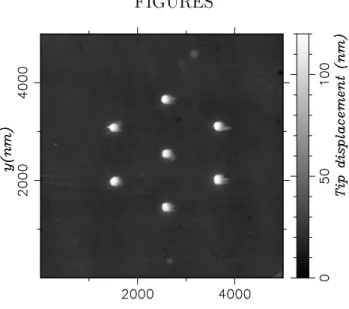 FIG. 1. AFM image of the sample. Tracks close to the pads, along the scanning direction are due to the presence of water on the sample.