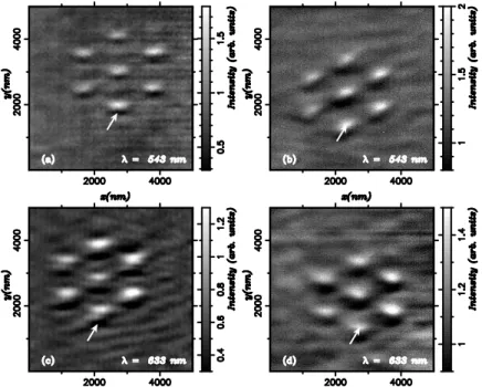 FIG. 3. Experimental constant height PSTM images recorded with dielectric tips at the last height which allowed scanning without crashing into the sample, for both wavelengths (λ = 543 nm and λ = 633 nm) and both incident polarizations TE ((a) and (c)) and