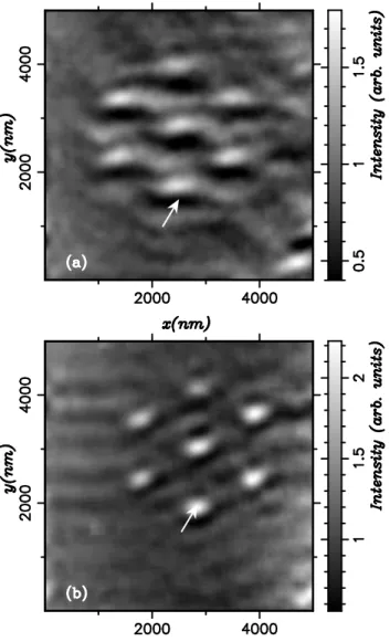 FIG. 5. Experimental constant height PSTM images recorded with a gold coated tip (d = 20 nm) and λ = 543 nm: (a) TE incident polarization, (b) TM incident polarization.